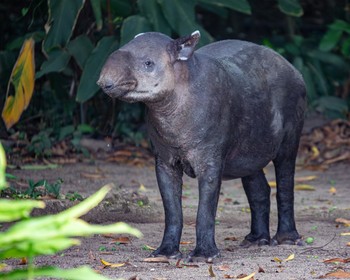 Лодочная прогулка