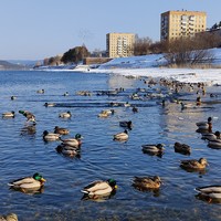 Фото отзыва 8: экскурсия "Город, горы, Енисей: главные чудеса вокруг Красноярска"
