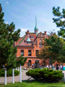 Куршская коса, Танцующий лес, Зеленоградск