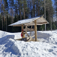 Фото отзыва 4: экскурсия "Из Архангельска — в музей Малые Корелы"
