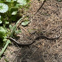 Фото туриста Ольга 3 - Зеленоградск и Светлогорск: как маленькие деревеньки стали популярными курортами