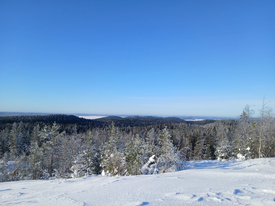 Спасибо Ярославу за экскурсию. Великолепно прогулялись по природе Карелии. Шхеры, водопады,добыча кварца и гранат. Поднимались на