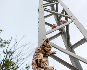 Достопримечательности Зеленоградска