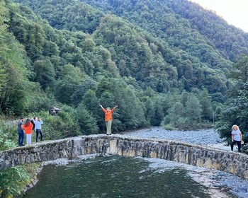 Водопад Мирвети и Самшитовый лес