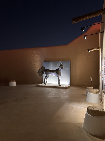 Хочу выразить благодарность гиду за великолепное знакомство с Эр-Риядом. Экскурсия получилась очень насыщенной и интересной. Удалось