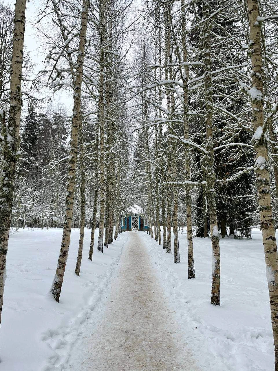В Пушкинские Горы - в небольшой группе (Андрей)