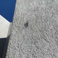 reviews img