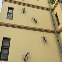 Фото отзыва 1: экскурсия "ПреКрасный пром на Красной Пресне: прогулка с архитектором"