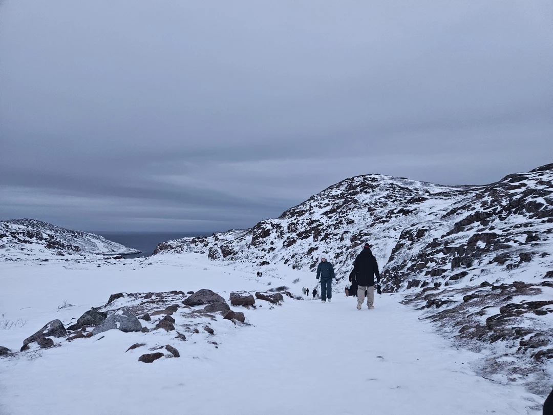 Безумно понравилось наше маленькое путешествие. Хоть и не удалось увидеть китов, это никак не испортило впечатление