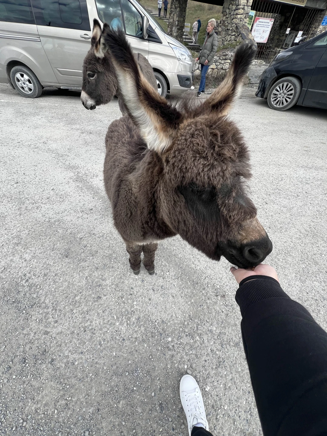 Отличная экскурсия! Алексей профессионал своего дела! Всё по существу без воды