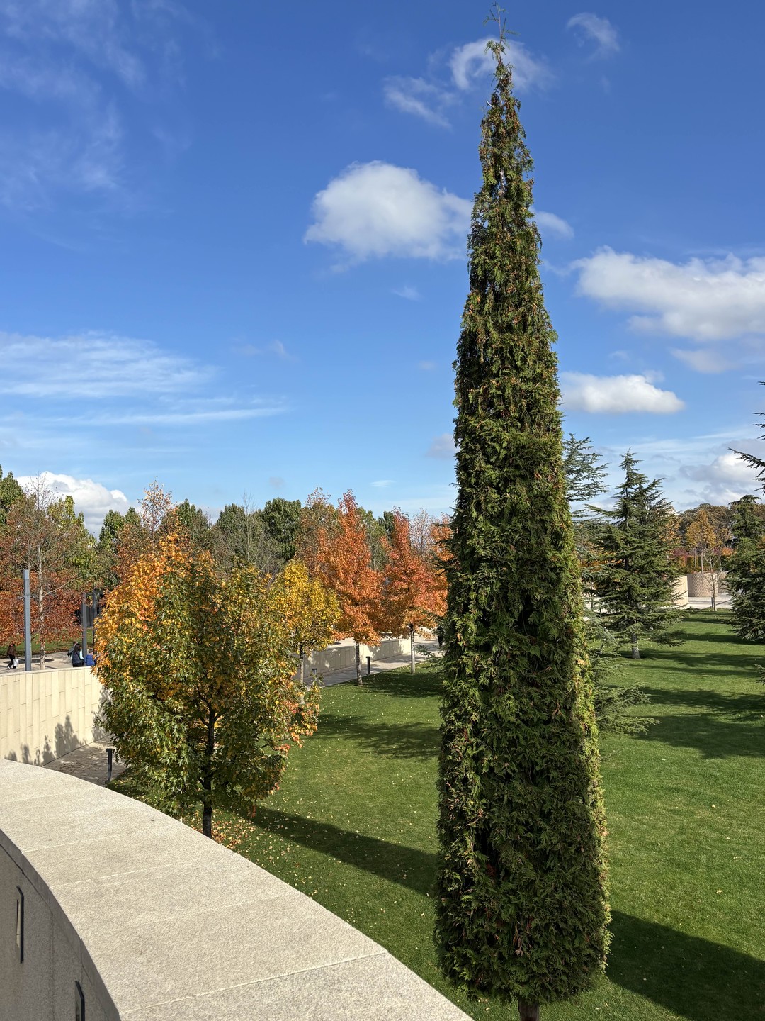 Экскурсия на столько понравилось, что я влюбилась в Парк Галицкого. Интересный рассказ, с фактами из истории и из жизни