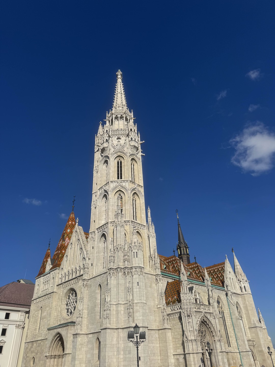 Ольга - прекрасный гид!