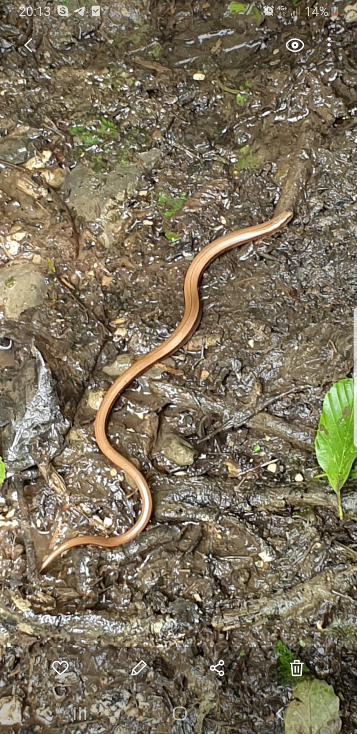 Спасибо за супер прогулку!