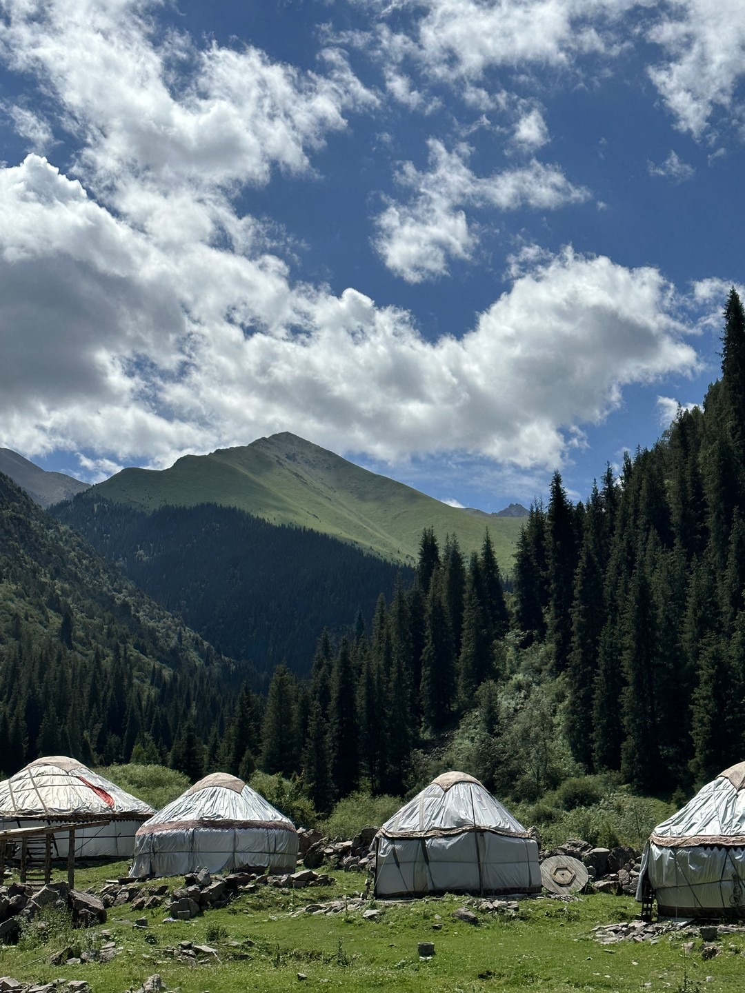 Очень очень понравилась экскурсия, потрясающие виды, горы просто невероятные, настоящие Альпийские луга. Юрий большой профессионал своего