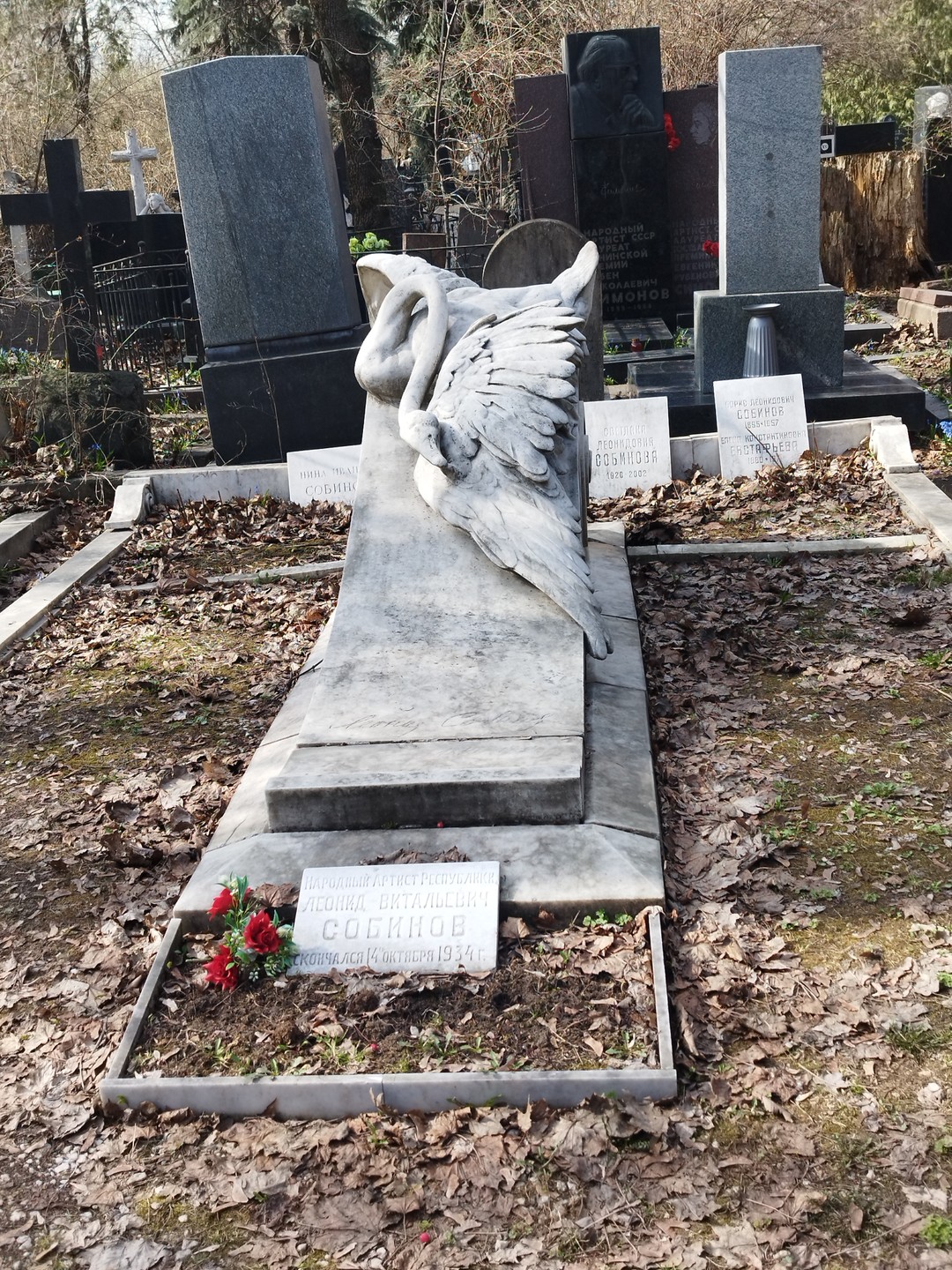 Новодевичий монастырь и Новодевичье кладбище (Светлана)