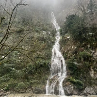 Фото отзыва 1: экскурсия "Душевное путешествие по Абхазии (из Гагры)"