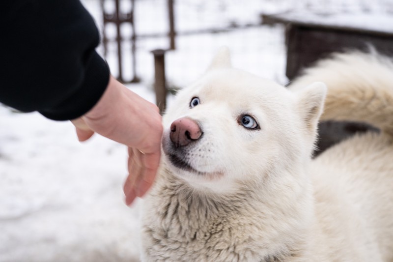 Карельские выходные в своей компании: "Марциальные Воды", "Кивач" и дополнительные активности