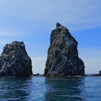 reviews img