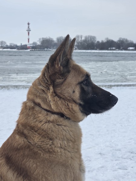 Путешествие в Балтийск, Светлогорск и Янтарный в небольшой группе (Zhenya)