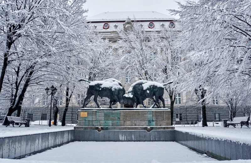 Главное в Калининграде за 3 часа в мини-группе