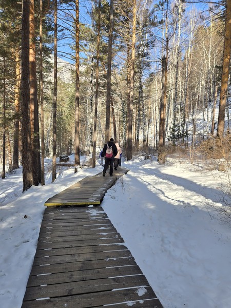 Прекрасная экскурсия! Красивые места, природа, вкусная еда. Обязательно посетите маралов и каменную реку!