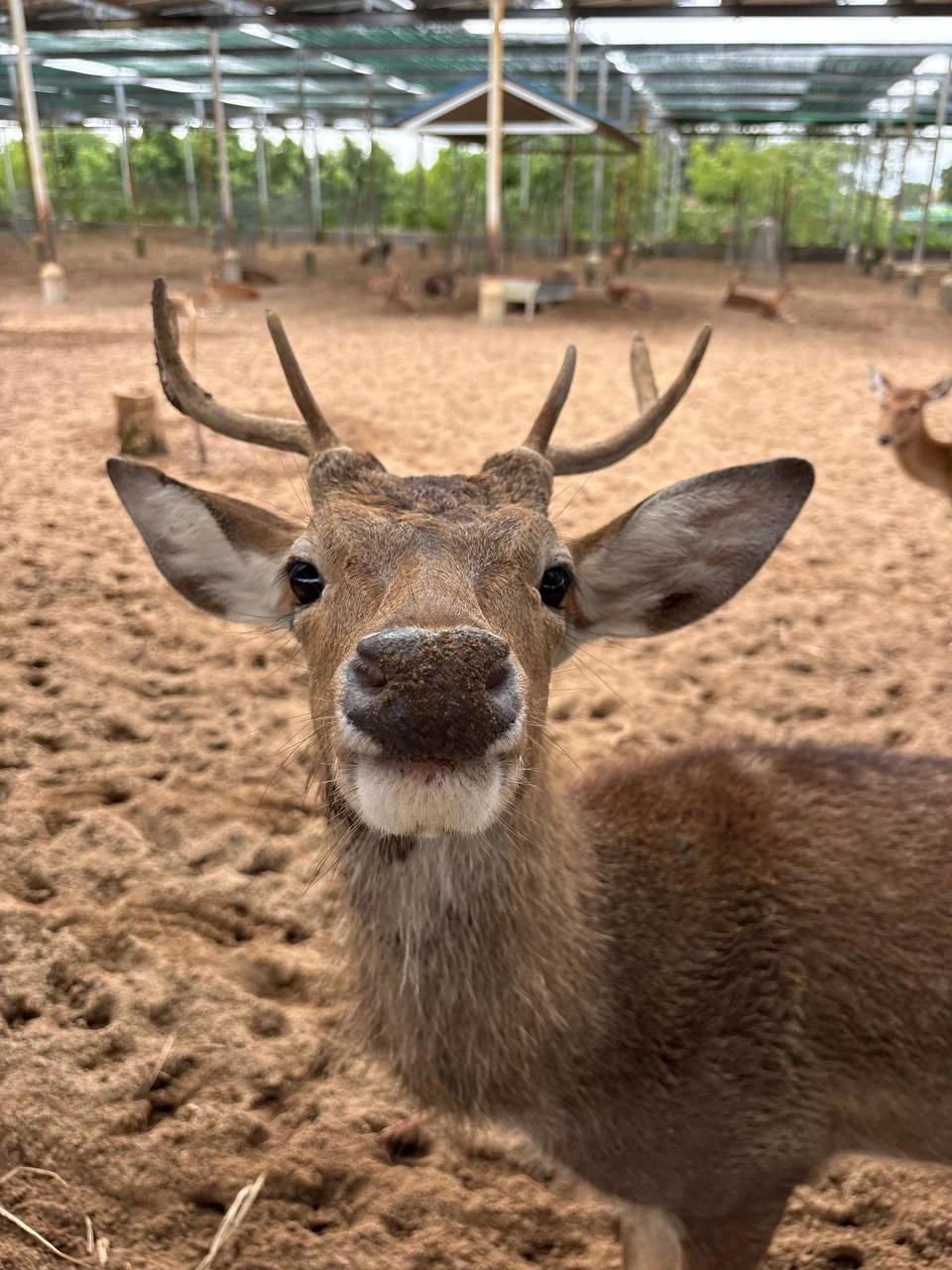 3 декабря 2025 года ездили с Вадимом на авторскую экскурсию в Фанранг. Экскурсия оставила самые положительные