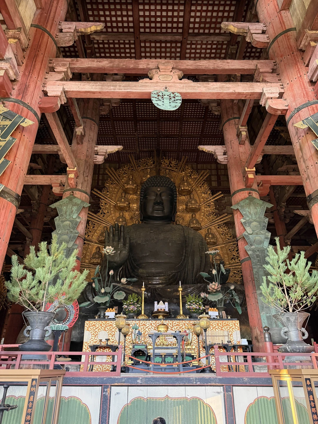 Марина очень профессиональный гид, досконально знает историю Японии! Очень приятная, везде помогала купить билеты, подсказывала лучшие