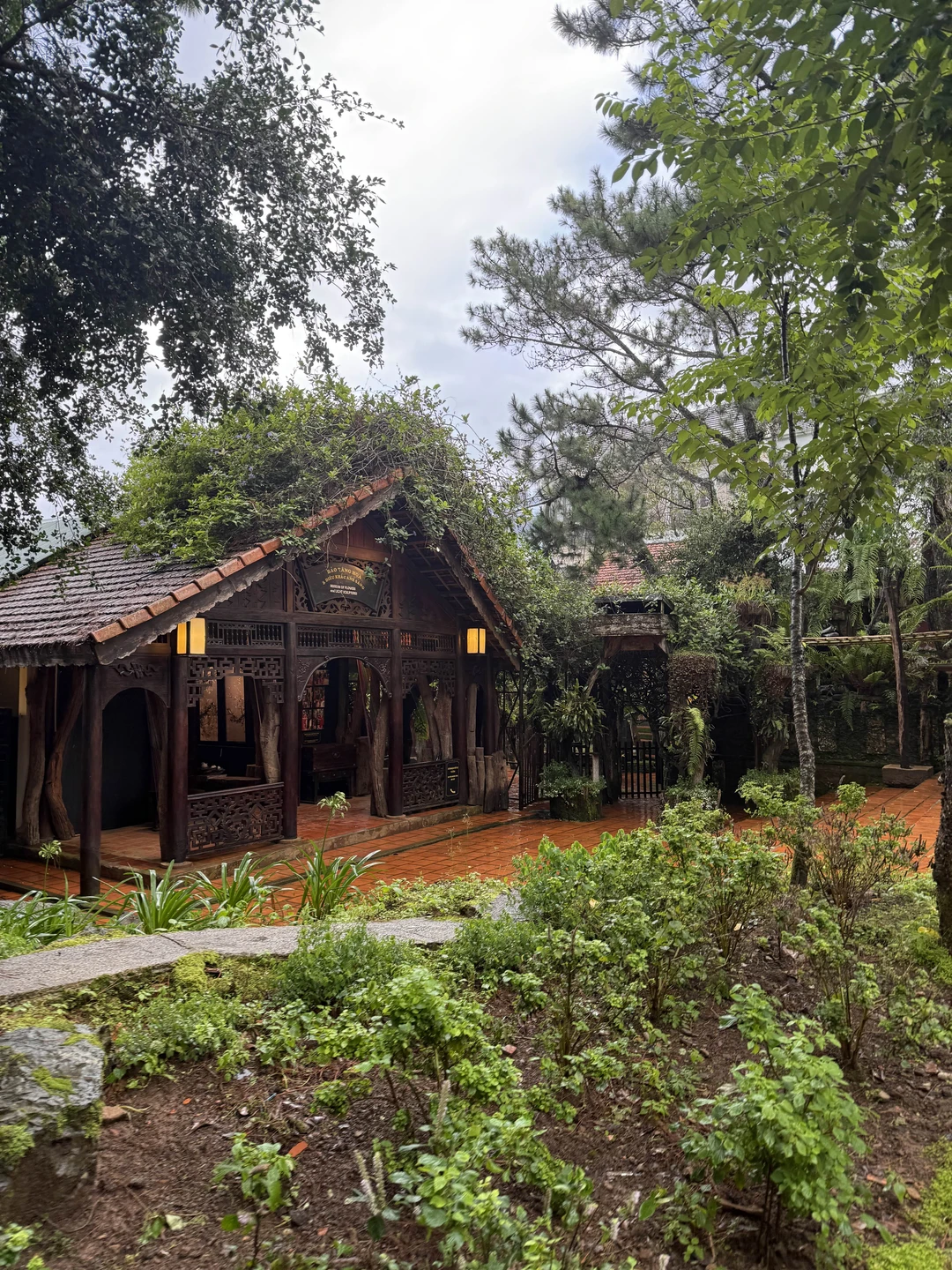 Экскурсия в Далат с Вячеславом нам понравилась. Гид дает общий хороший уровень сервиса на протяжении всего