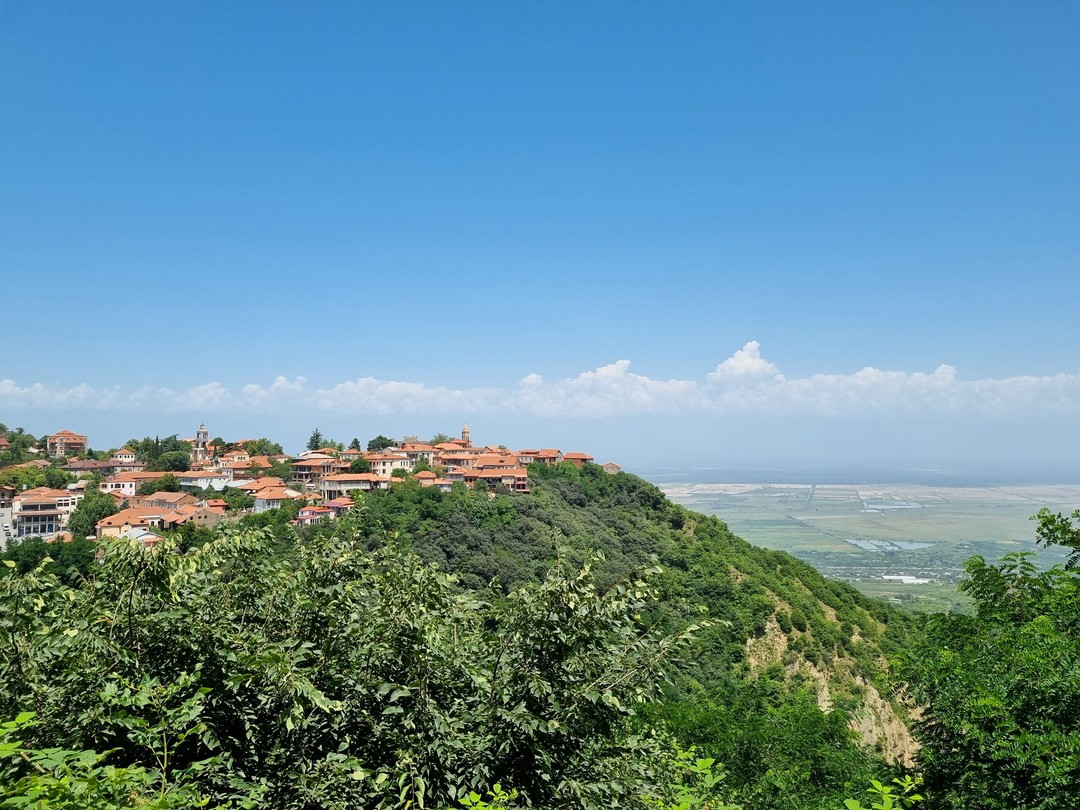 Кахетия: вино, легенды и красота (в группе) (Карина)