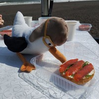 reviews img