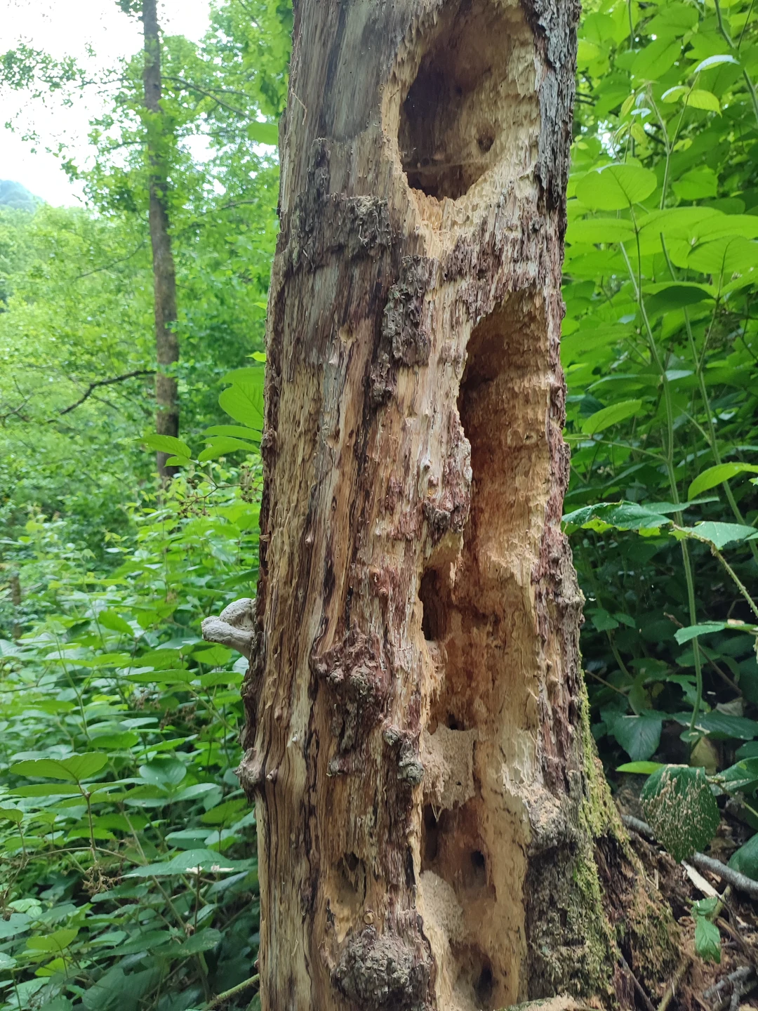 Благодаря Федору мы с дочерью провели замечательный день в Грузии. Каждое место, которое мы посетили, особенное