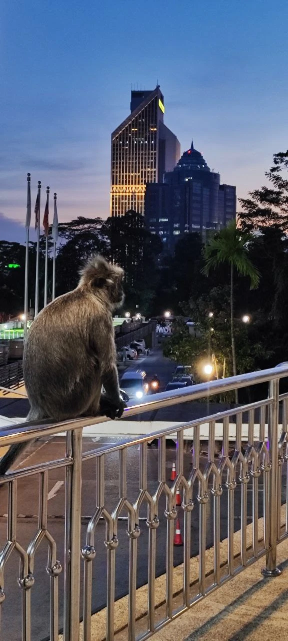 Готовились с женой к отпуску и увидели тур – 4 страны за 15 дней. Это же