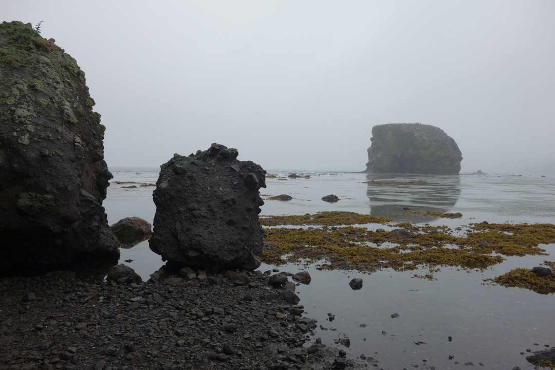 Очень понравилось несмотря на туманную погоду. Мыс великолепен. Прошли его от начала и почти до самого