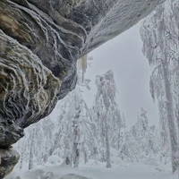 Фото отзыва 3: экскурсия "Живое сердце тайги: из Перми — к Усьвинским столбам"