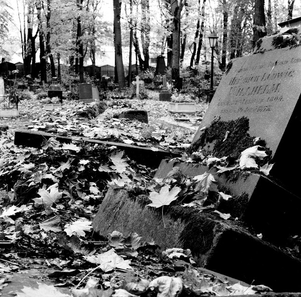 Мобильный квест в Петербурге «Тайны Смоленского кладбища»