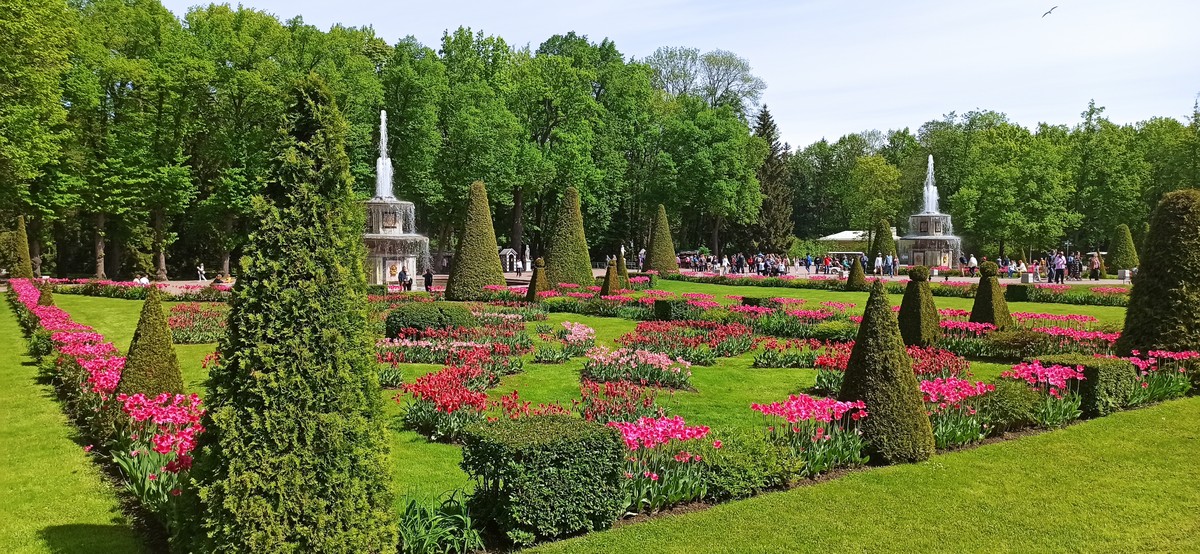 К фонтанам Петергофа — с ветерком на метеоре (6/17)