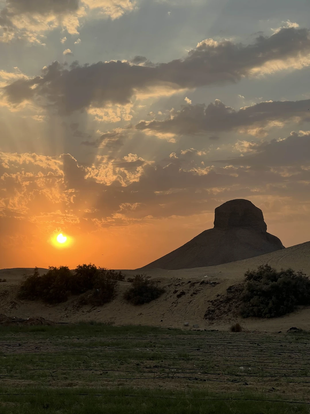 Экскурсия получилась насыщенной и очень интересной. Посмотрели все, что запланировали, благодаря четкой организации со стороны Махмуда