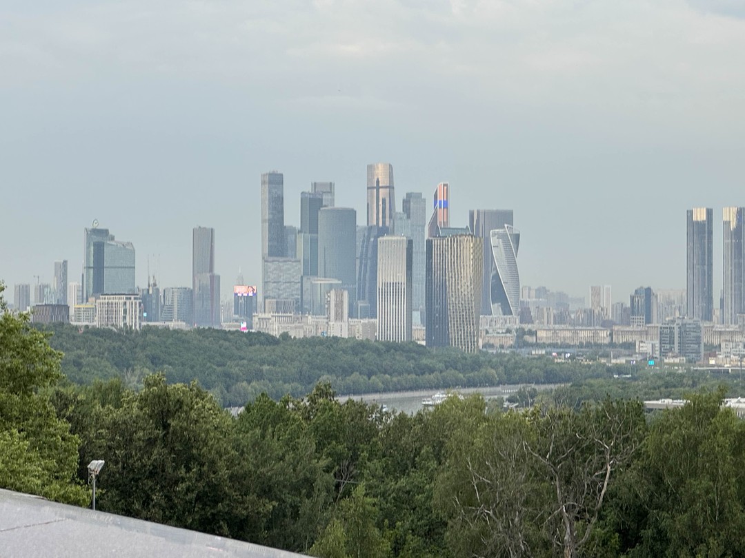 Знакомство с матушкой Москвой. Групповой обзорный тур на автобусе (Анастасия)