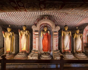 Слоновий питомник, храм в Дамбулле, крепость Сигирия