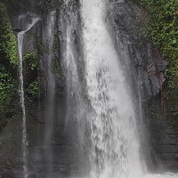 Фото отзыва 6: экскурсия "Бали: водопады в джунглях и древний храм"