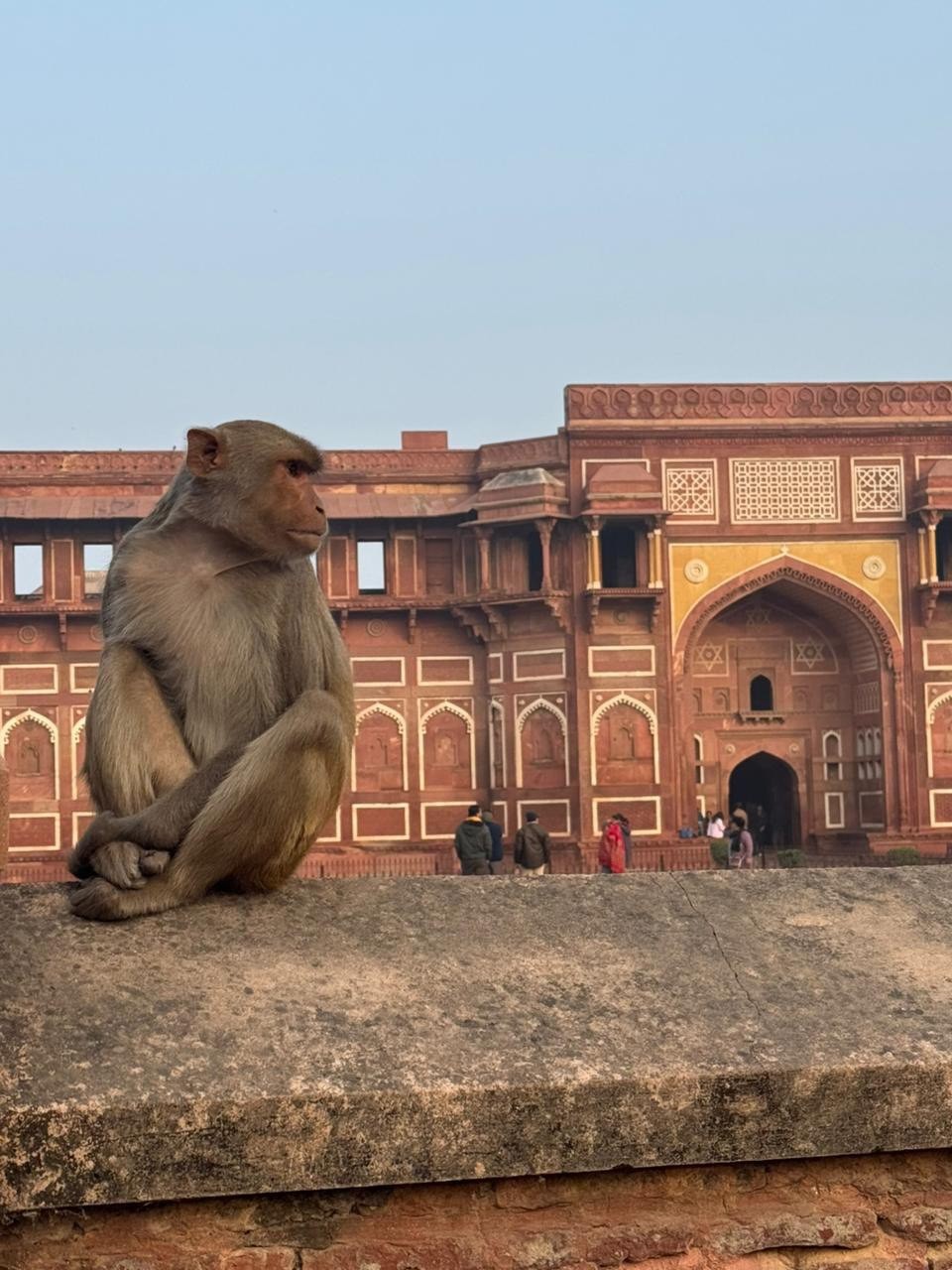 Нам понравилась экскурсия. Тара замечательный гид, устроил нам интересную экскурсию по Дели, отвечал на все вопросы