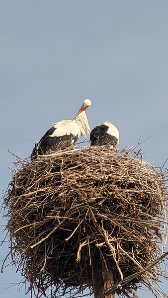 6 марта посетили с мужем волшебнейшую экскурсию по маршруту: Хор Вирап, Татев, Нораванк. Это что-то невероятное!