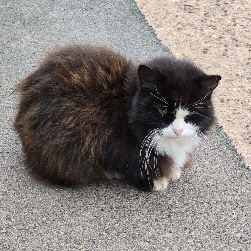 Экскурсия «Башкирское предуралье: от озерных глубин до горных вершин» превзошла все мои ожидания! Это удивительное путешествие