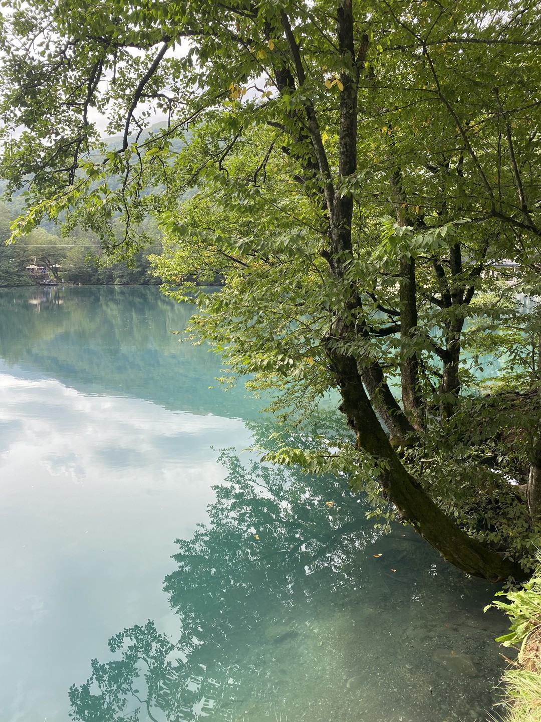 Из Владикавказа - в Кабардино-Балкарию (Жанна)