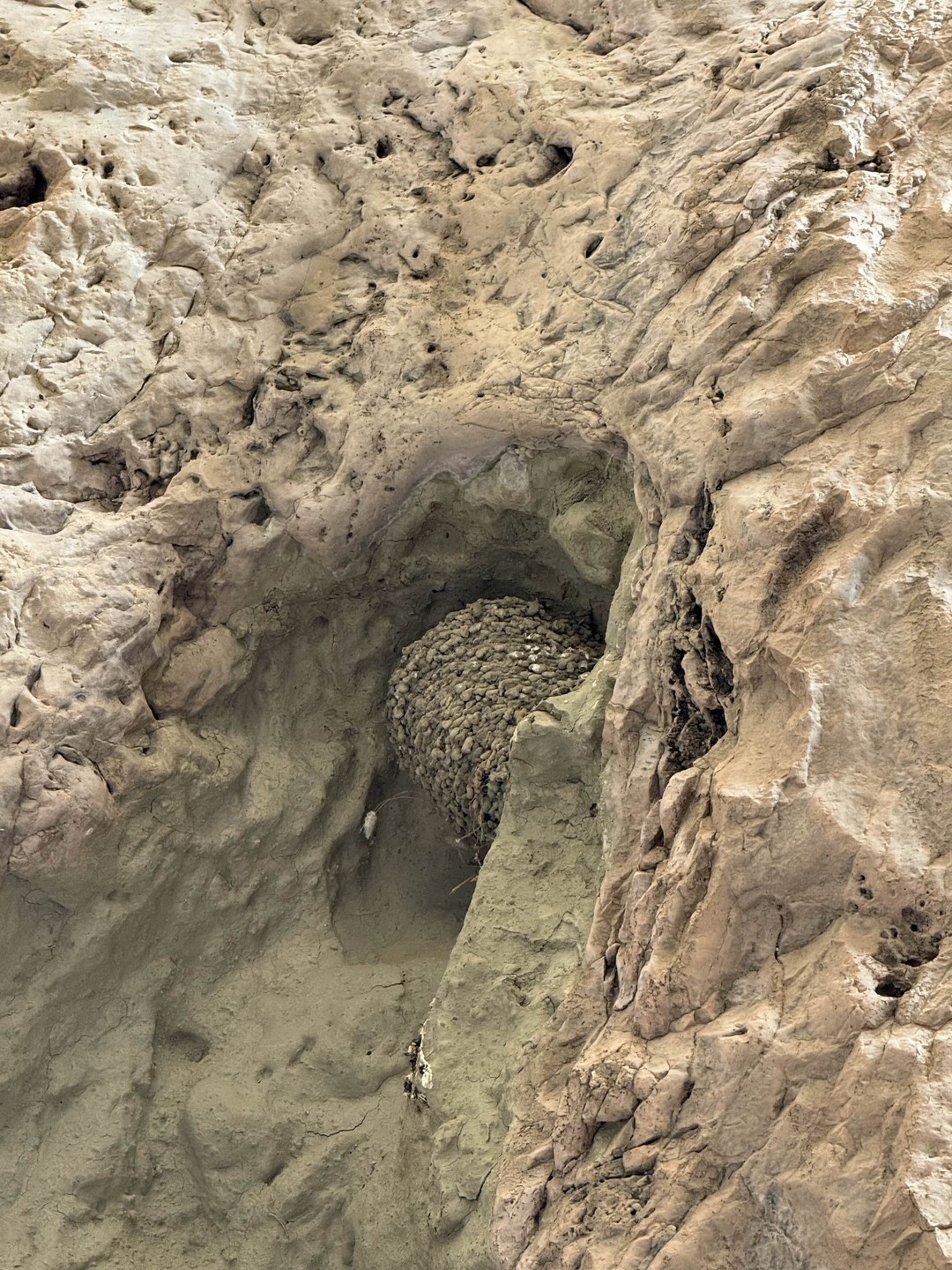 Маршрут составленный организатором поездки выше всяких похвал. Всё было великолепно. Питание на 5+