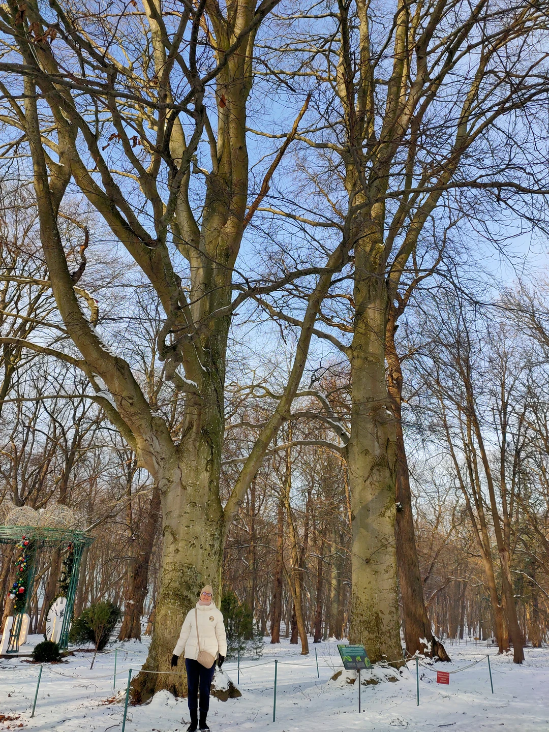 Хотим поблагодарить Евгения за организацию нашей поездки. Эрудиция Евгения, его юмор и лёгкость обстановки, массив информации