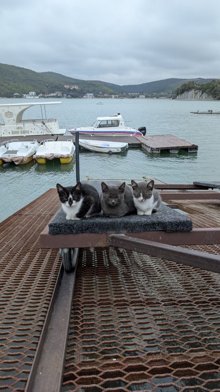 Абрау-Дюрсо - колыбель российского шампанского