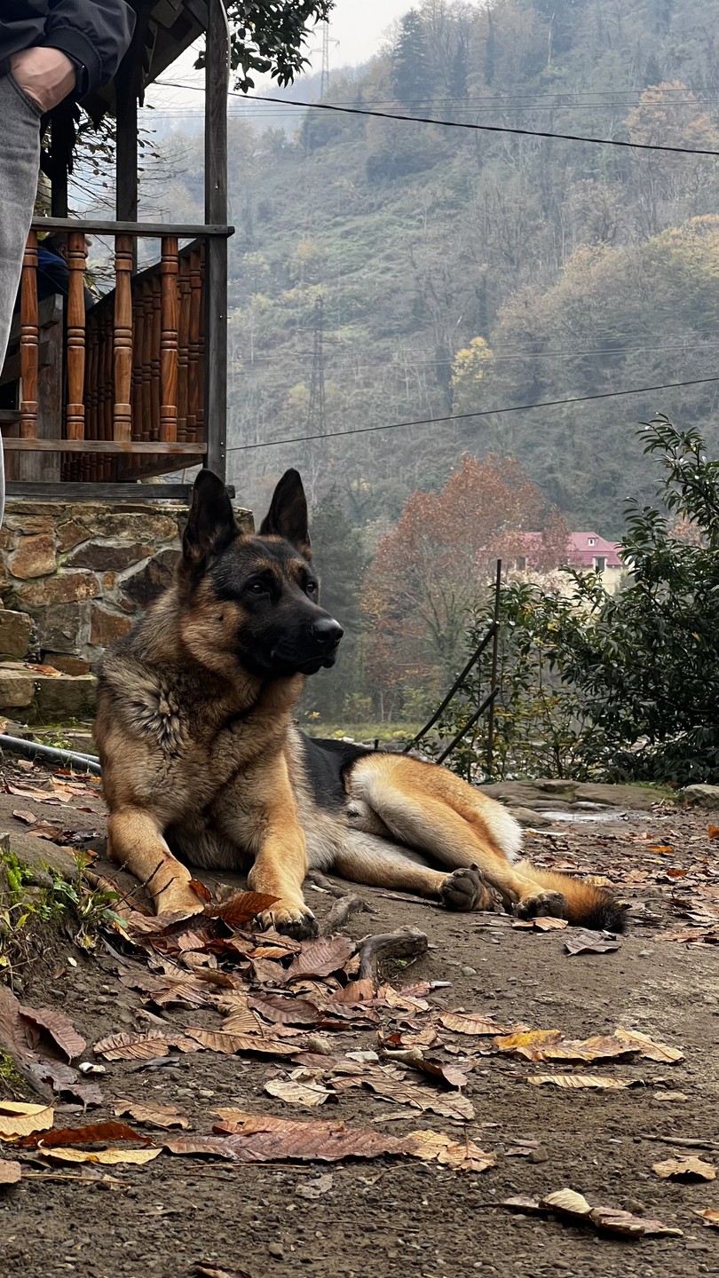 Большое спасибо Ириндию за невероятную экскурсию! Все прошло на высшем уровне! Очень красиво, интересно! Было очень