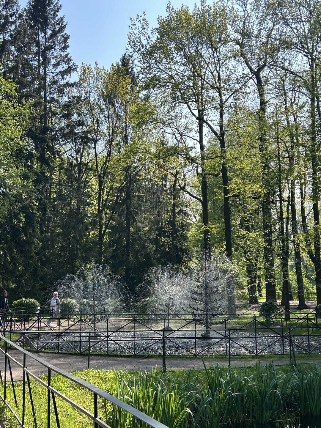 Мир изящных фонтанов Петергофа (Екатерина)