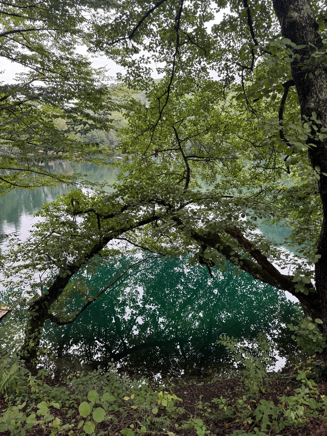 Язык Тролля и Верхняя Балкария в мини-группе из Пятигорска (Анна)